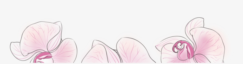 Butterfly, transparent png #1739205