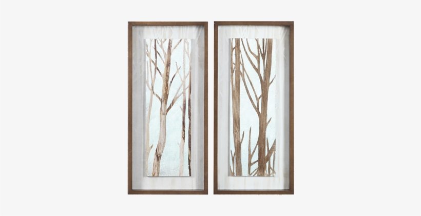 Uttermost Tree Focus Shadow Box, S/2, transparent png #1739286