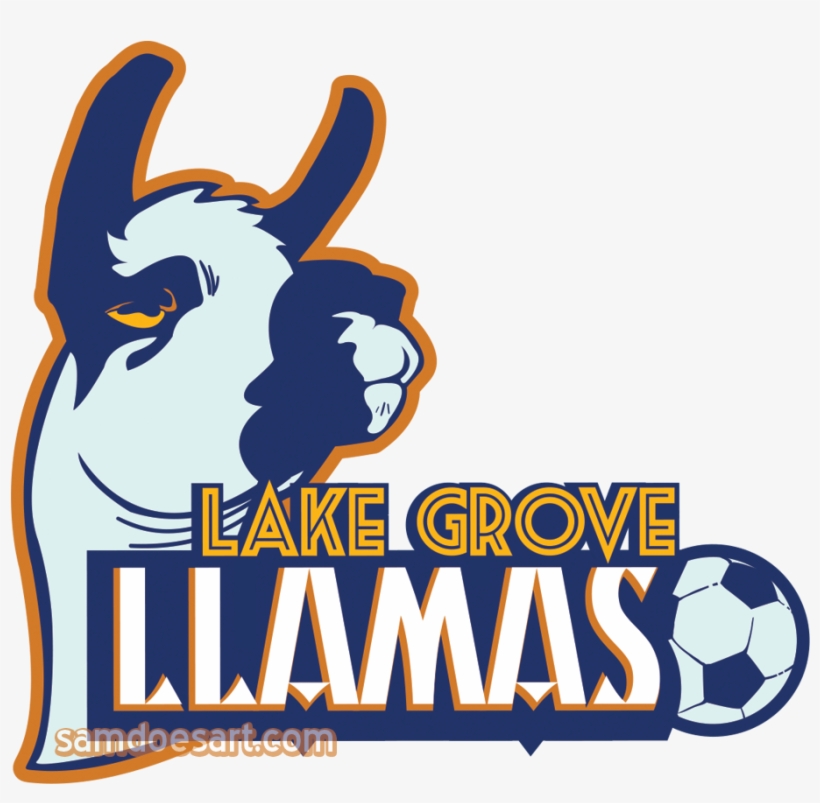 Lake Grove Llamas, transparent png #1742326