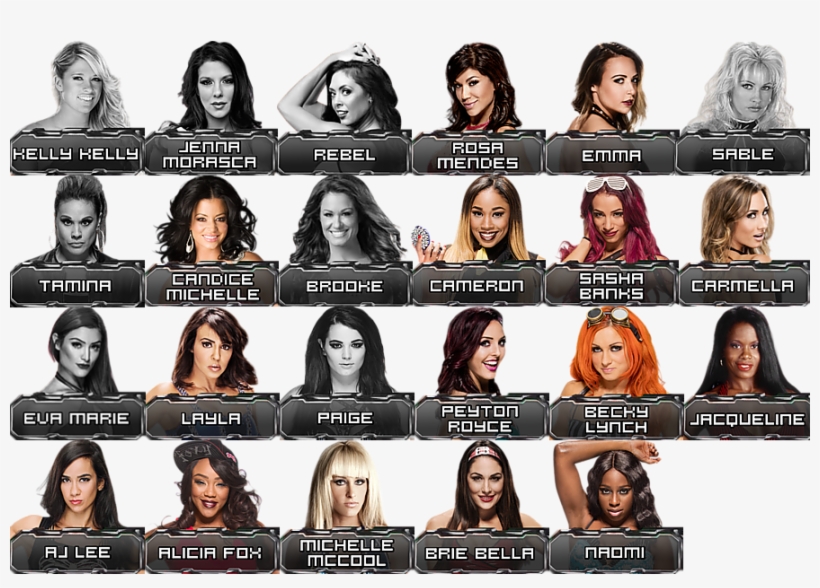 X1q4mda - Lace Wig, transparent png #1743380