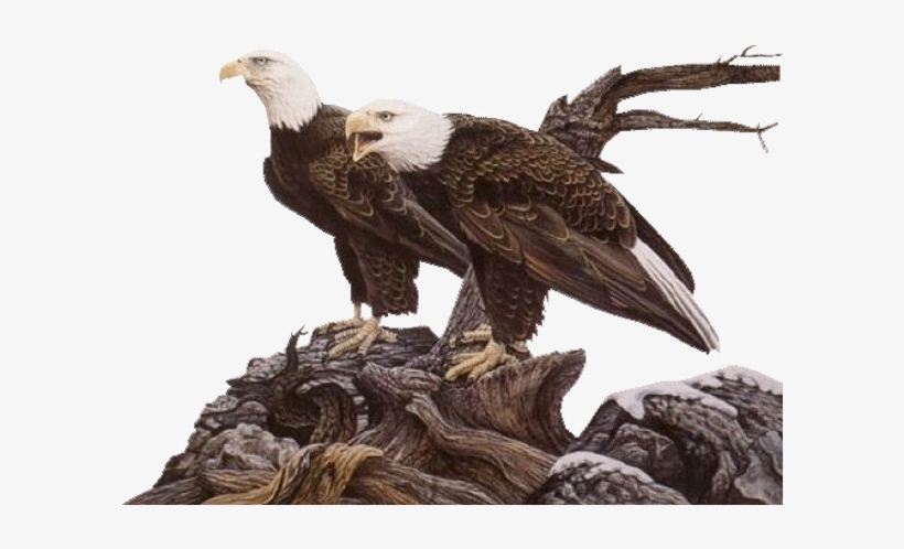 Png Images - Eagle - Gongbi, transparent png #1743578