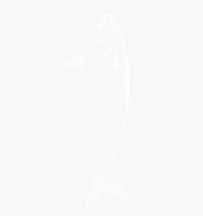 Design By Rm - French Flag 1815 1830, transparent png #1744277