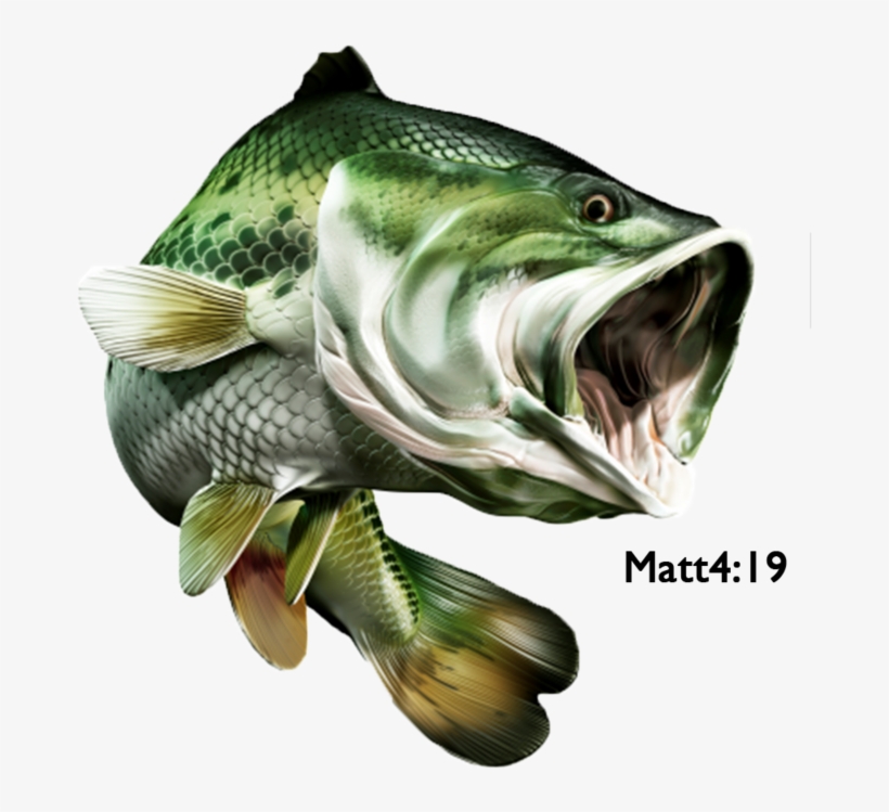 Bass Fish Store Logo, transparent png #1744960