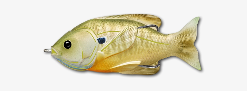 Live Target Sunfish Hollow Body [3" Natural/green Bluegill] - Livetarget Lures Sfh75t554 Sunfish Hollow Body 3" Natural/green, transparent png #1745421