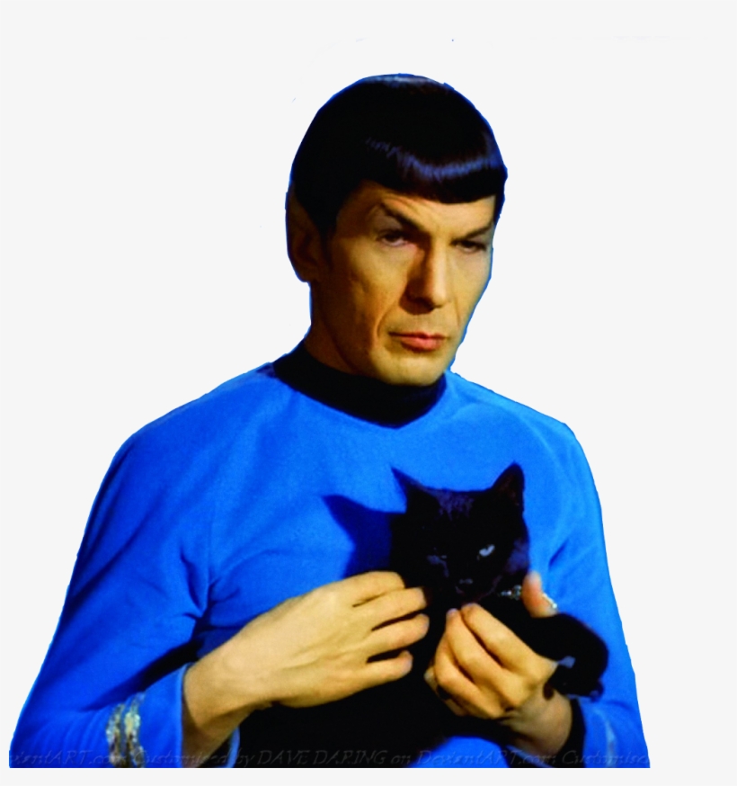 Aye Aye Captain, transparent png #1747049