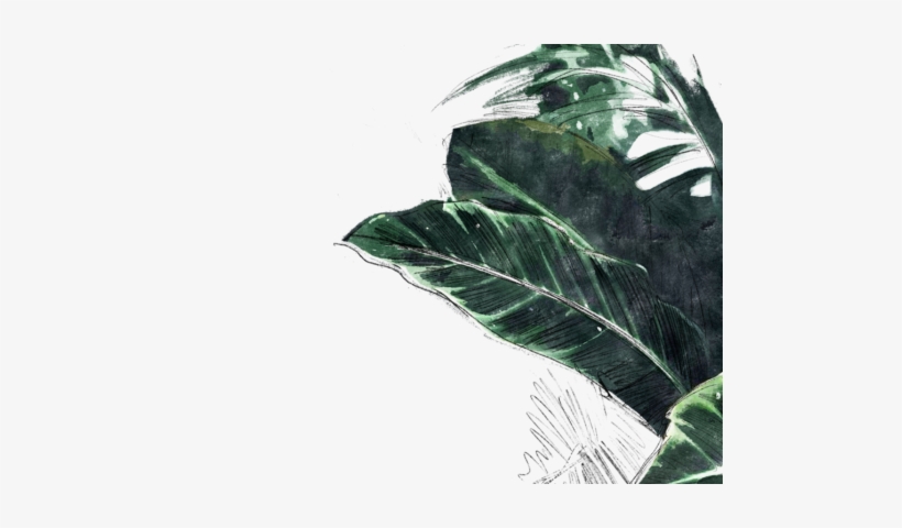 14we 1 E1516415484292 - Sketch, transparent png #1747201