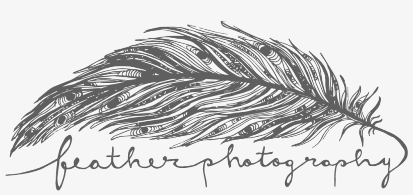 Feather Photography, transparent png #1747273