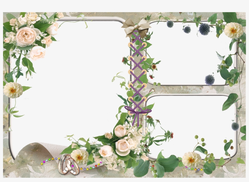 Png Frame For Photoshop, transparent png #1747990