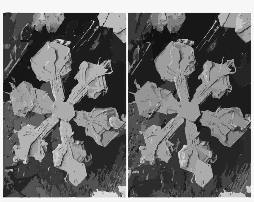 Snowflake Stereoscopy Microscope Crystal Black And - Stereo Images Of Electron Microscope, transparent png #1749811