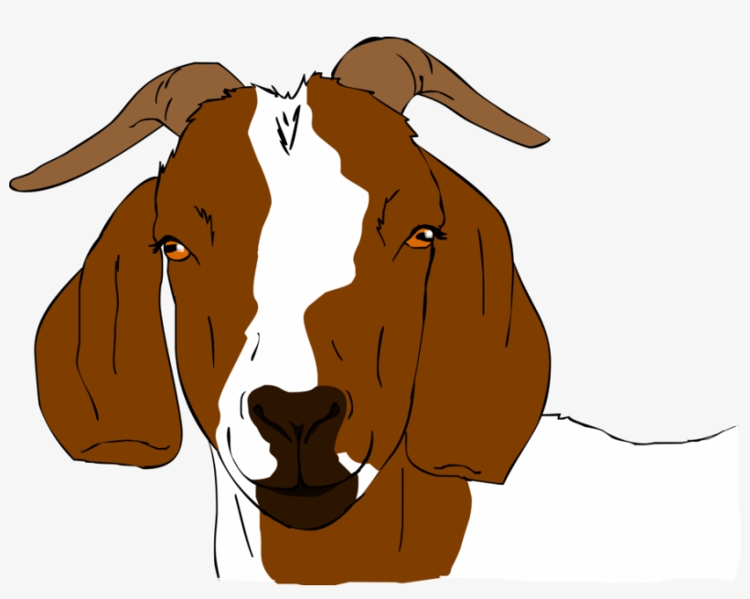 Picture Royalty Free Collection Of High Quality Free - Boer Goats Clip Art, transparent png #1750763
