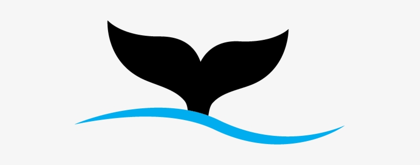 Orca Recruitment - Whale Tail Clip Art Free, transparent png #1751174