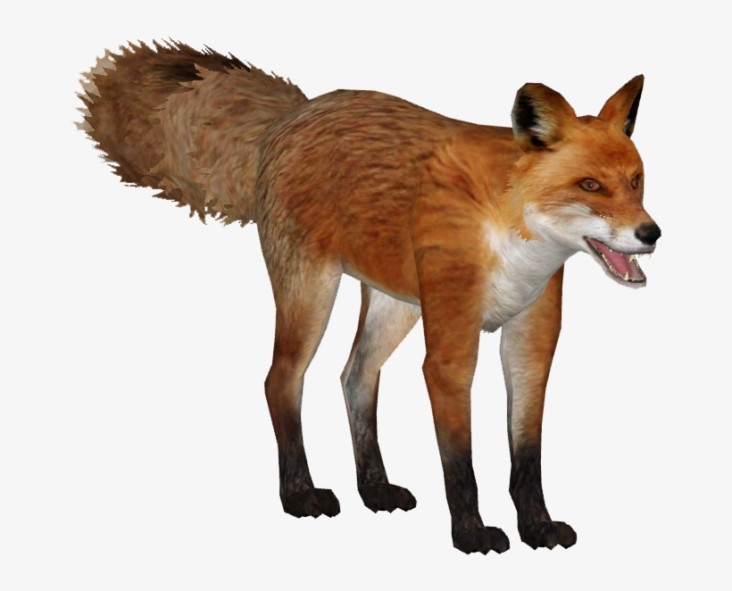 Japanese Fox - Zoo Tycoon 2 Fox, transparent png #1751554