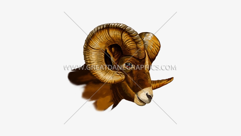 Ram Head Side View - Goat Head Side View, transparent png #1751576