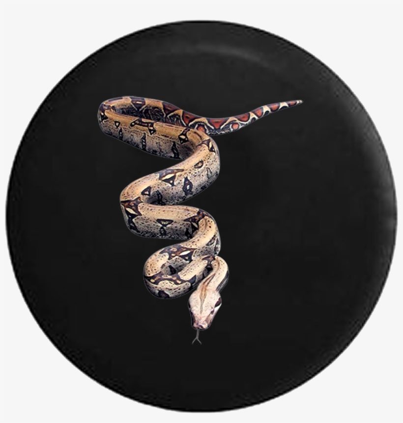 Boa Constrictor Slithering Snake Forked Tongue Jeep - Snakes, transparent png #1752005