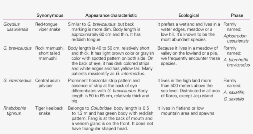 Characteristics Of Snakes Of South Korea - Characteristics Of Snakes, transparent png #1752465