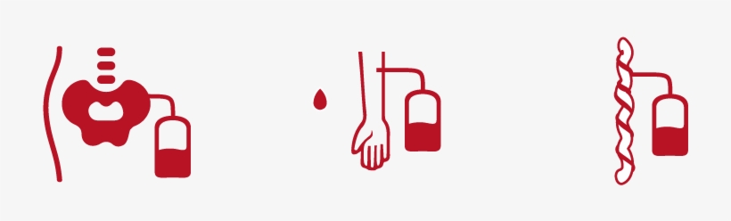Donation - Stem Cell, transparent png #1754663