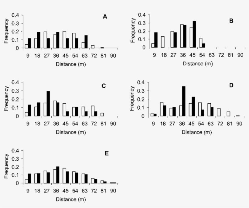 Potential White Bars And Pollinating Black Male - Bar, transparent png #1755381