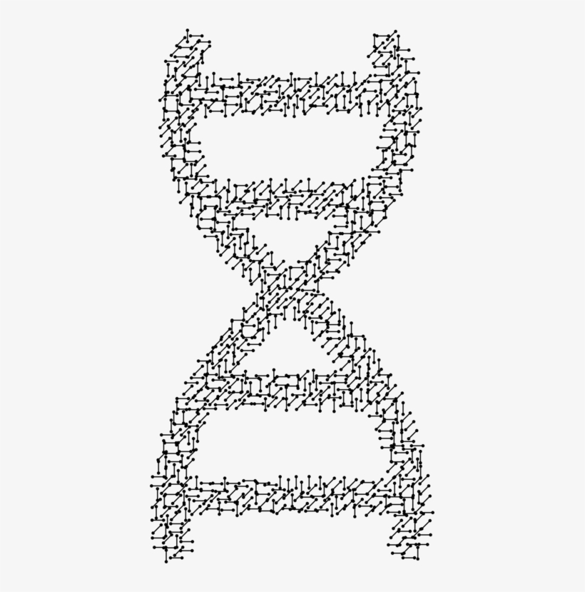 Molecular Biology Molecular Models Of Dna Molecule - Molecular Dna, transparent png #1755712