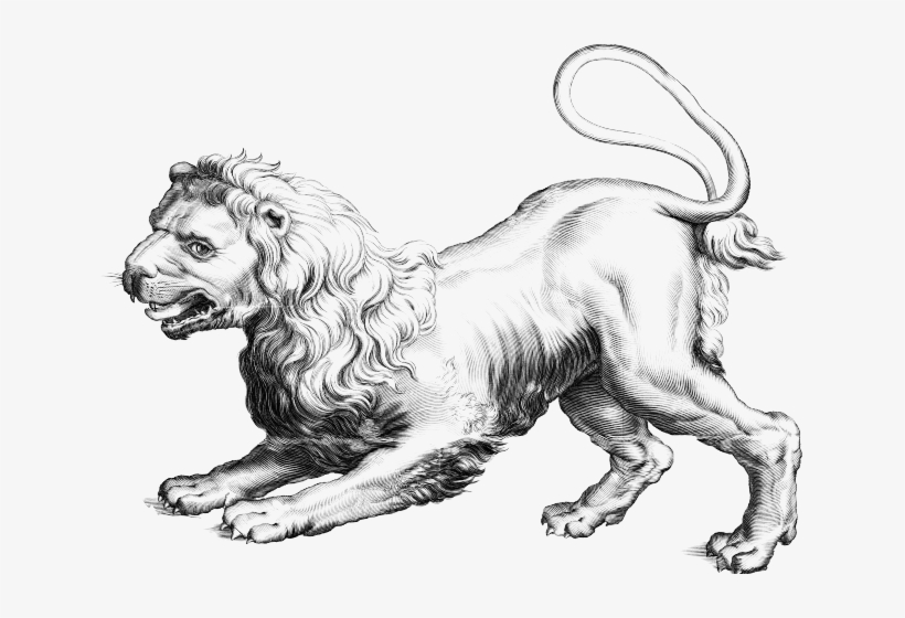 Leo Png Transparent Images - Icanvas Astronomy And Space 'leo (lion)' Painting Print, transparent png #1756709