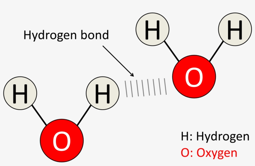Molecule, transparent png #1756851