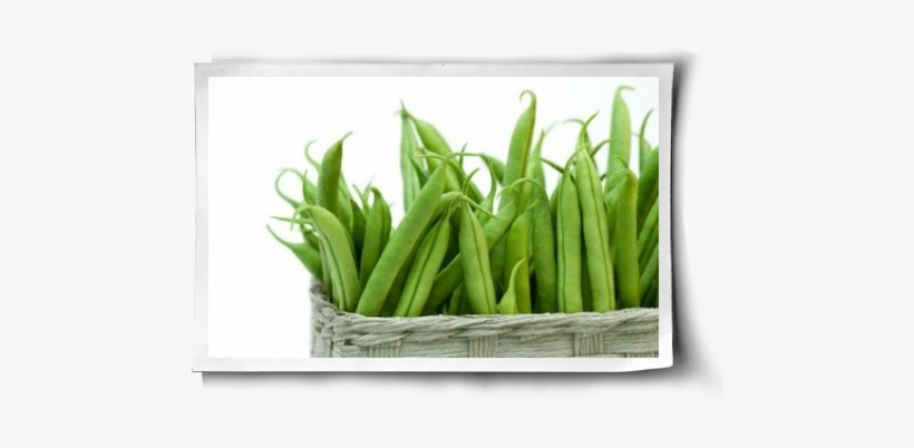 Greenbeansibasket - Bean, transparent png #1758952