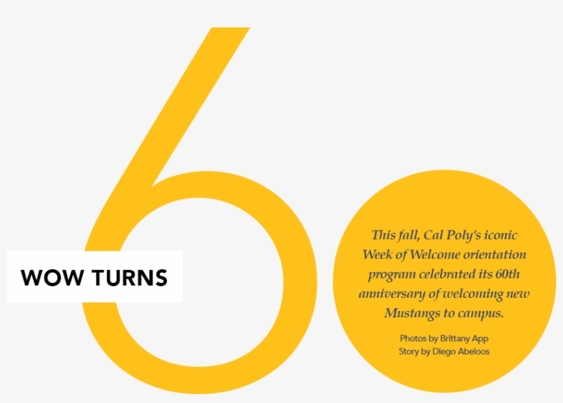 Hundreds Of Wowies Gathered At The Sports Complex For - Circle, transparent png #1760301