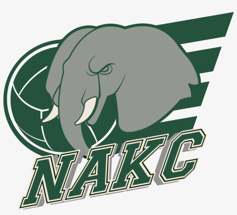 Graphic Design, transparent png #1760436