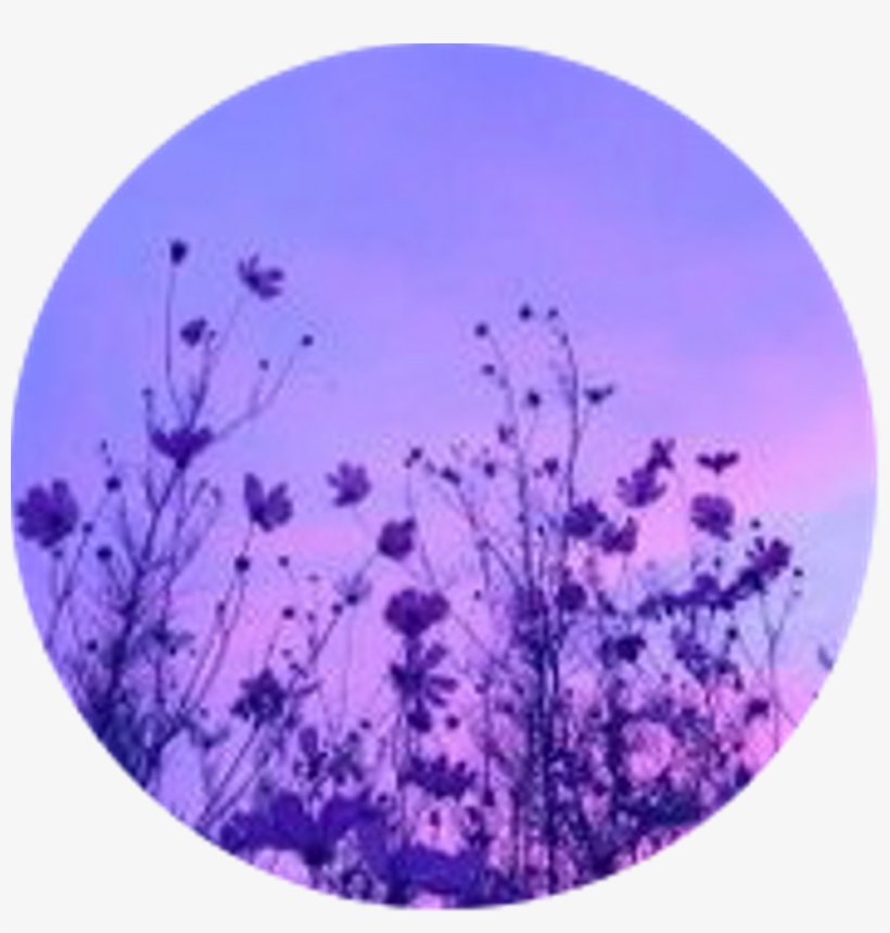 Aesthetic Circle Icon Purple Flowers Flower Purpleaesth Tide