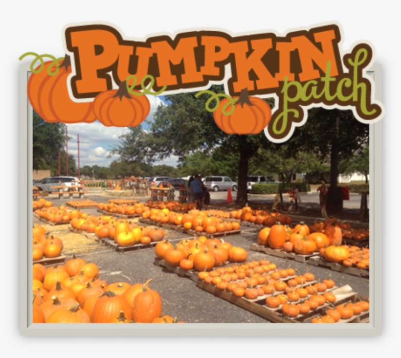 Pumpkin, transparent png #1761084