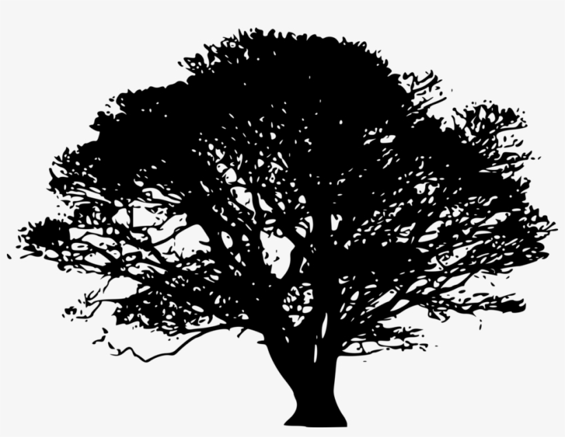 Black Tree Silhouette Hi - Oak Tree Silhouette Png, transparent png #1763876