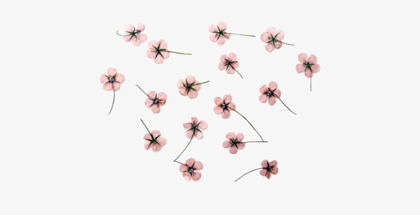 Cherry Blossom Clipart Transparent Tumblr - Flores Tumblr Dibujos, transparent png #1763913