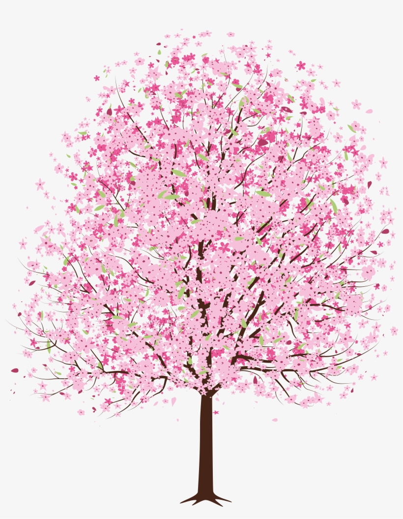 Pin Spring Clipart Png - Japanese Cherry Blossom Tree Transparent, transparent png #1764021