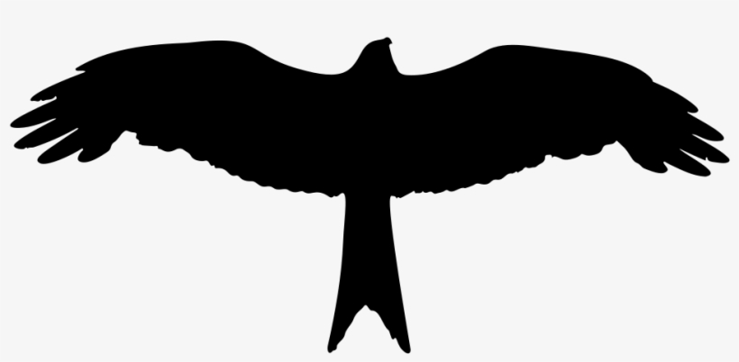 Eagle Silhouette, transparent png #1764207