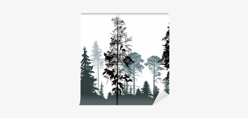 Pine Grey Forest Silhouettes Isolated On White Wall - Forest Silhouette, transparent png #1764232