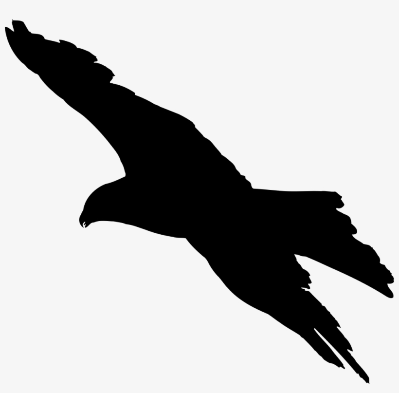 Eagle 7 Silhouette - Silhouette Of A Bird Flying, transparent png #1764357