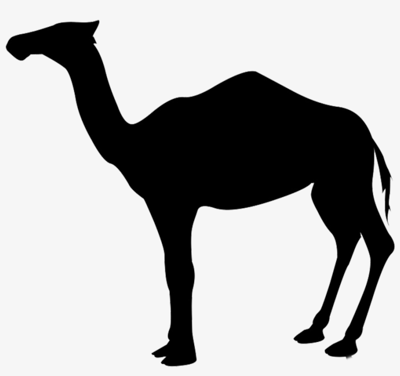 Free Howling Wolf Silhouette - Camel Silhouette Png, transparent png #1764384