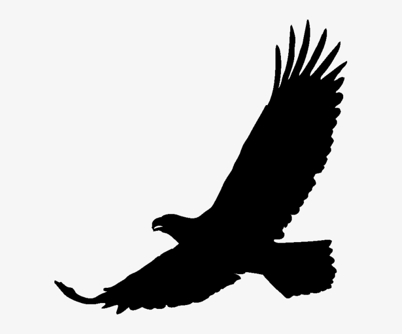 Art Black Eagle Transprent Png Free Download Aquila Free Transparent Png Download Pngkey