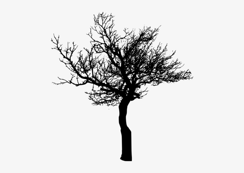 Free Png Tree Silhouette Png Images Transparent - Portable Network Graphics, transparent png #1764761