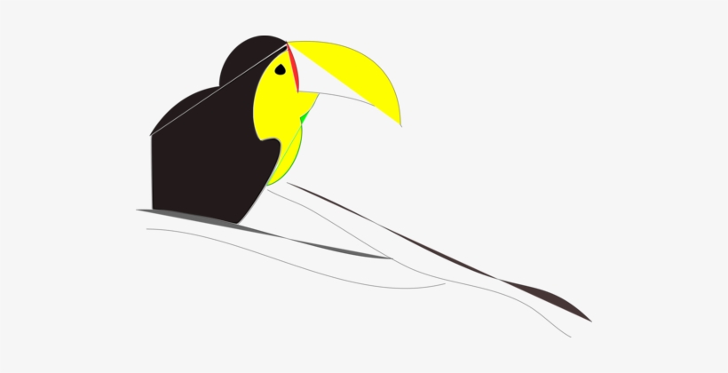 Toucan Beak Neck - Clip Art, transparent png #1766421