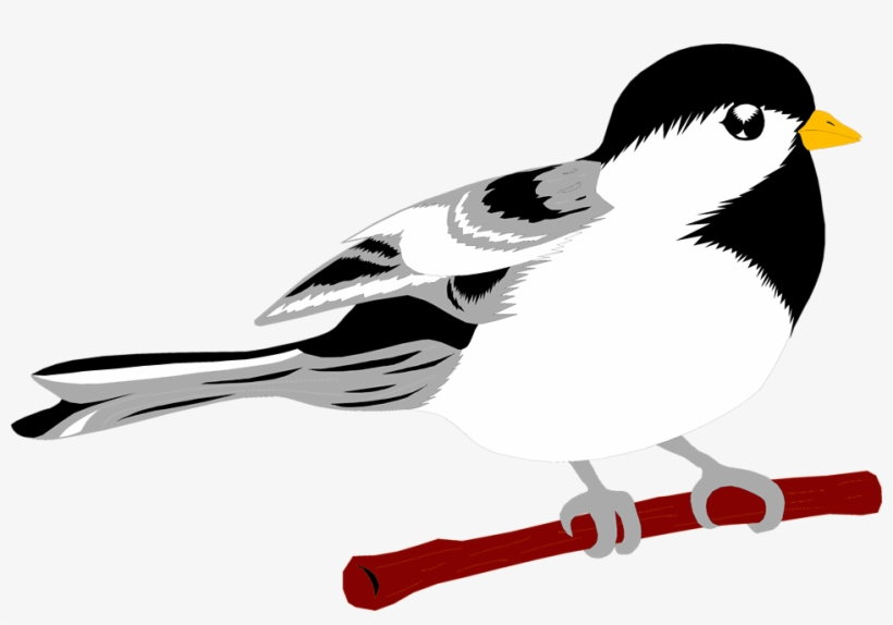 Free Stock Photos - Clip Art, transparent png #1766630