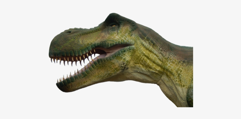 Dinosaur, Prehistoric Times, Dino, Reptile, T Rex - Dinossauro Png Fundo Transparente, transparent png #1766868