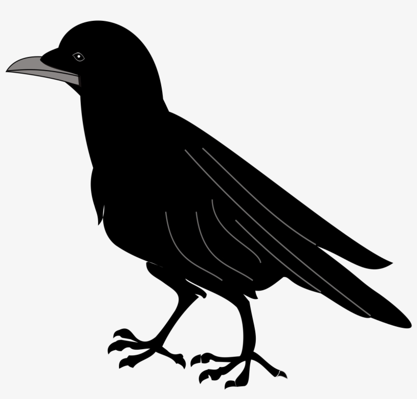 File Corneille Wikimedia Commons Open - Corneille Png, transparent png #1767058