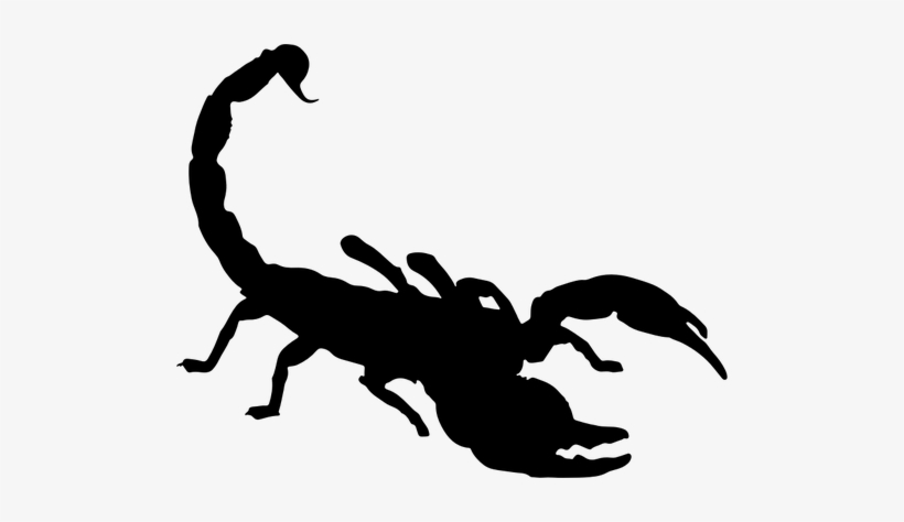 Clip Art Free Public Domain Vectors - Scorpion Clipart, transparent png #1767320