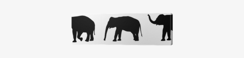 African Elephant, transparent png #1767443