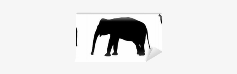 Elephant, transparent png #1767485