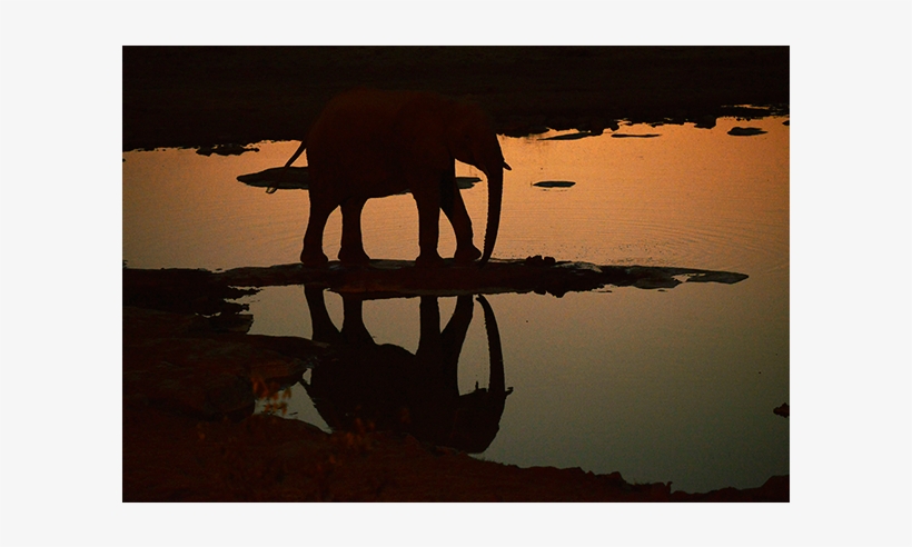 Namibia Elephant Silhouette - Canvas, transparent png #1767529