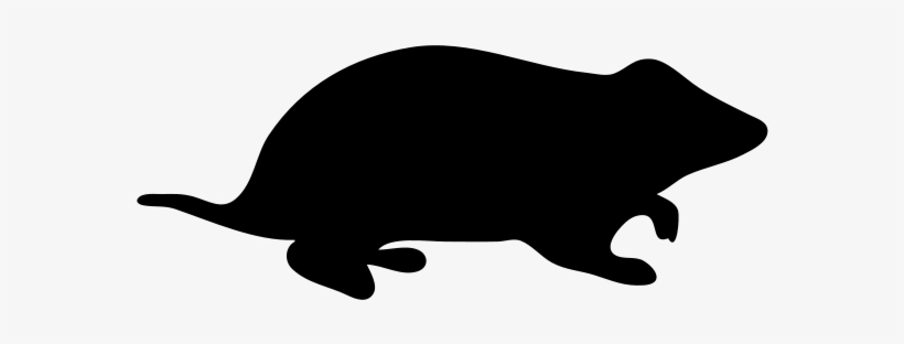 Hamster Silhouette Clipart, transparent png #1767608