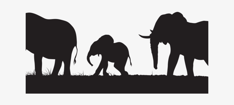 Elephant Silhouettes Cliparts - Elephant Silhouette Png, transparent png #1767735