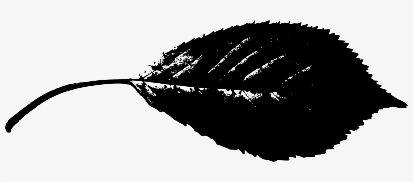 Leaf Silhouette Transparent Background, transparent png #1768180