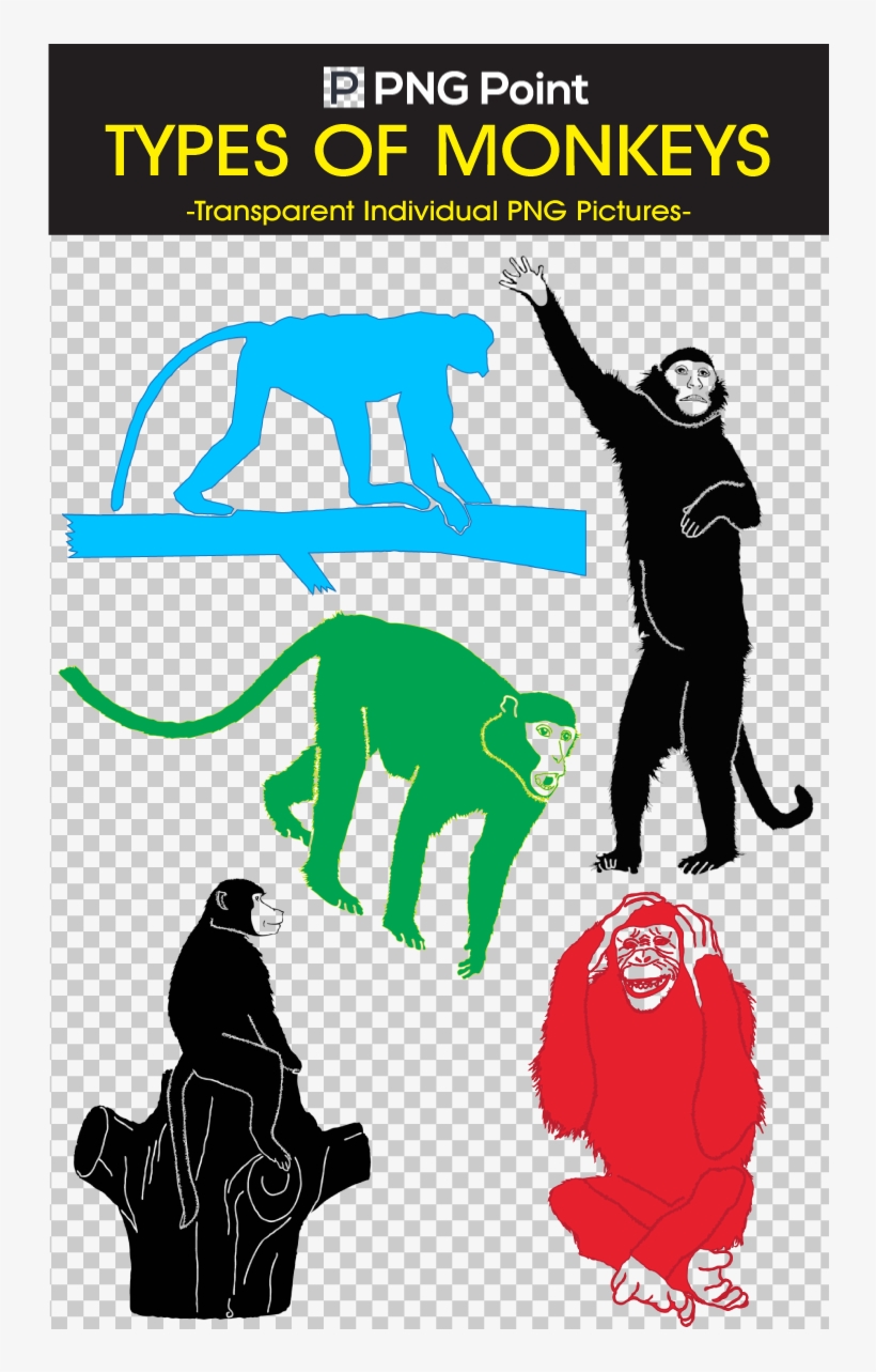 Silhouettes Images, Icons And Clip Arts Of Variety - Illustration, transparent png #1768318